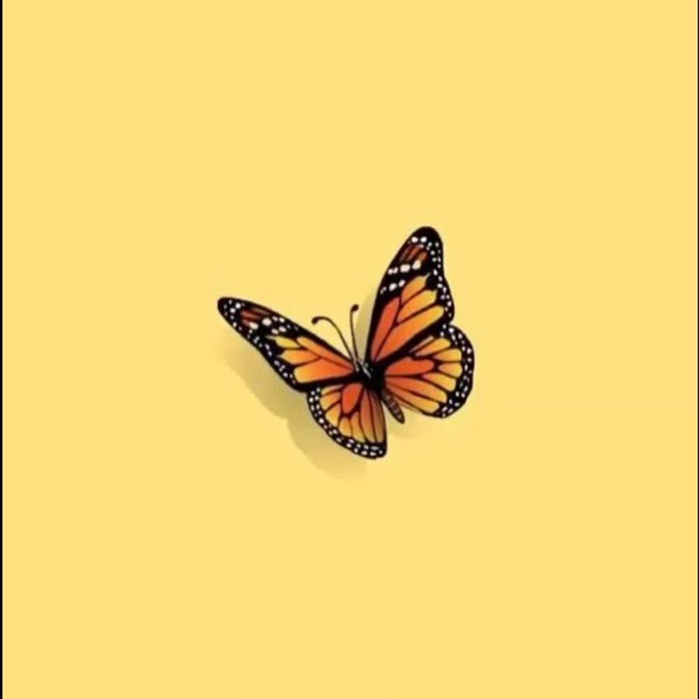 Meet your Posher, Layla